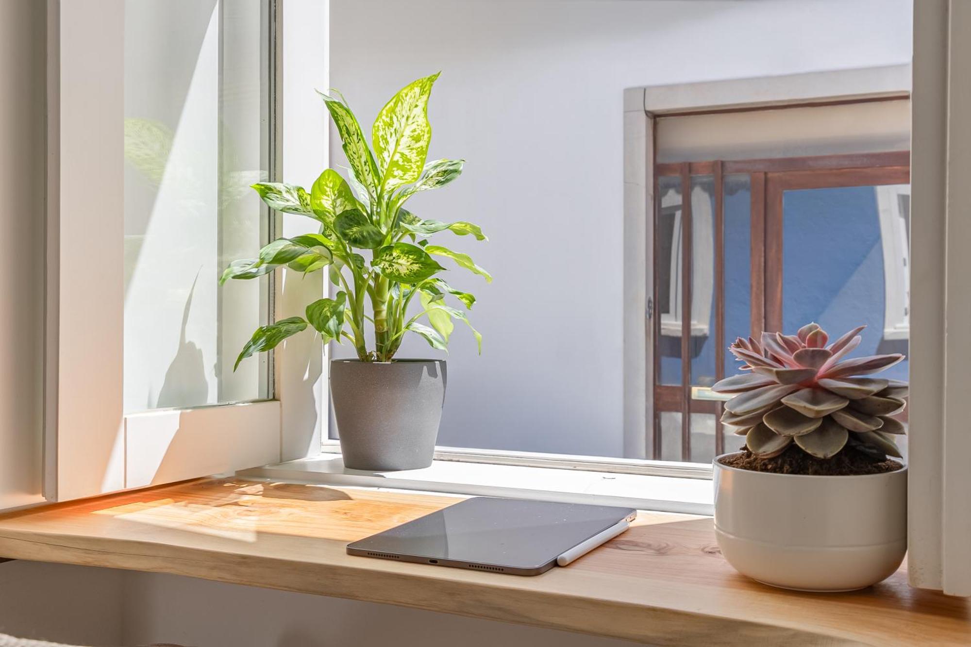 Casa Tamar Apartment ลากอส ภายนอก รูปภาพ